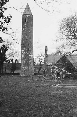 TIMAHOE ROUND TOWER